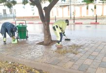 Mascara – Plus de 3,5 km de réseaux d’assainissement nettoyés
