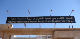 Institut des technologies de la pêche et de l’aquaculture – Lancement des formations à la carte au profit des professionnels