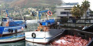 Les pêcheurs confrontés aux tocades de la météo – D’insignifiantes prises rapportées après plusieurs heures en mer
