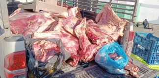 Saisi de 101,3 kg de viande non propre à la consommation