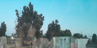 La guerre est déclarée aux constructions sur les terres agricoles – La DSA cible plus de 40 bâtis illicites