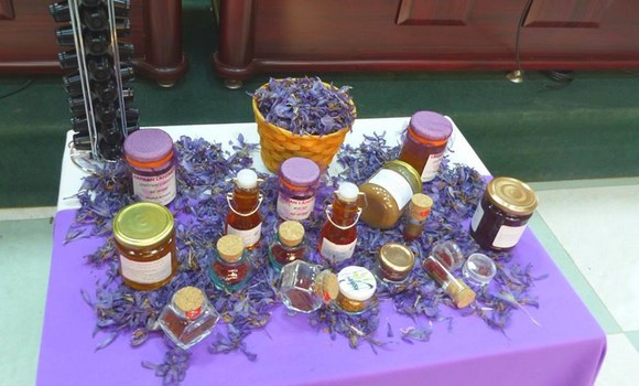 04 - Le safran aura son 2ème salon national