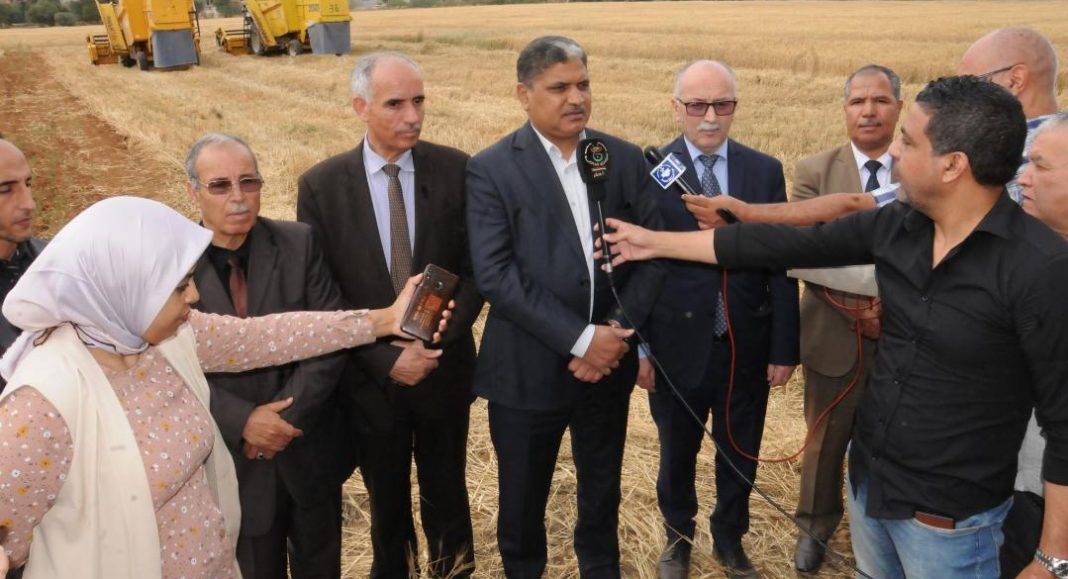 04-Le wali de Tlemcen lance la campagne moisson-battage à partir de la ferme pilote « Hammadouche »