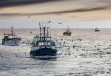 Expiration de l’accord de pêche UE/Maroc: Dénués de moyens, Bruxelles et Rabat face à la réalité juridique