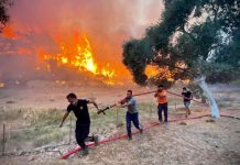 Turquie : les feux de forêts font rage alors que la canicule continue de sévir