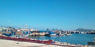 Ain Temouchent – La pêche, l’aquaculture et les effets du changement climatique, en débat