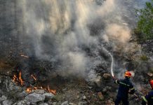 Incendies en Grèce : plus de 200 pompiers européens envoyés en renfort