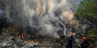 Incendies en Grèce : plus de 200 pompiers européens envoyés en renfort