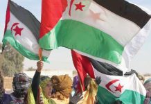 La position de l’entité sioniste concernant le Sahara occidental occupée “nulle et non avenue”