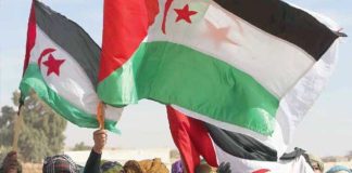 La position de l’entité sioniste concernant le Sahara occidental occupée “nulle et non avenue”