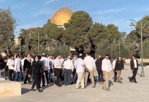 Palestine: des dizaines de colons prennent d’assaut la mosquée Al-Aqsa