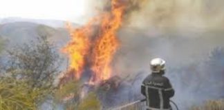 Destiné aux wilayas touchées par les incendies – Un convoi de solidarité va démarrer bientôt d’Oran