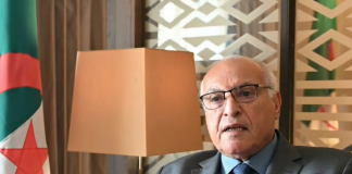 Crise au Niger – Convergence de vues entre l’Algérie et des pays de la CEDEAO en faveur d’une solution pacifique