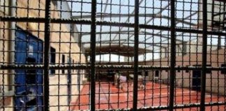 Palestine – Quatre détenus dans les prisons sionistes en grève de la faim