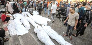 Palestine – 8.382 martyrs et plus de 23.000 blessés