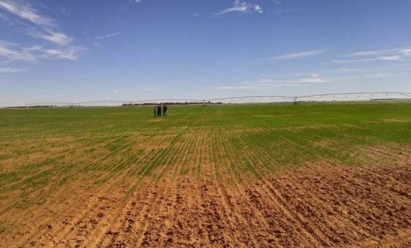 05 - Récupération de plus de 2.000 hectares non exploités