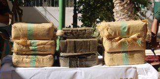 MDN – Les éléments de l’ANP mettent en échec une introduction de plus de 08 quintaux de kif à partir du Maroc