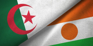 Des analystes politiques africains affirment – L’acceptation de la médiation de l’Algérie au Niger témoigne de sa force diplomatique dans la région