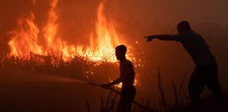 Indonésie – Des incendies de tourbières provoquent des fermetures d’écoles