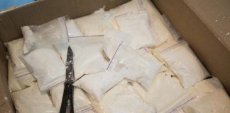 Pays-Bas : Saisie de 7,7 tonnes de cocaïne à Rotterdam en provenance de la Belgique