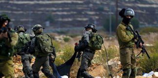 Cisjordanie – 46 Palestiniens arrêtés par les forces d’occupation sionistes