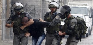 Cisjordanie occupée – 51 Palestiniens arrêtés par les forces d’occupation