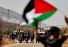 La Vallée du Jourdain: Les colons sionistes s’accaparent des terres des Palestiniens