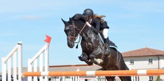 Equitation – La deuxième semaine du concours national de saut d’obstacles deux étoiles vendredi et samedi