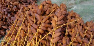 Biskra – Organisation d’un Salon des dattes, des produits agricoles et des arbres fruitiers