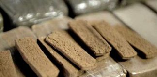 Batna – Plus de 42 Kg de kif traité saisie