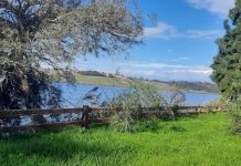 Alger – Réalisation du premier projet de parcs agricoles