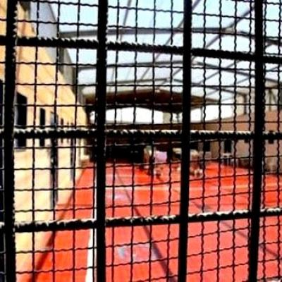 7.800 Palestiniens détenus dans les prisons sionistes