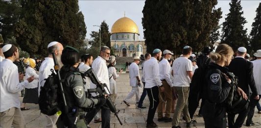des dizaines de colons prennent d’assaut la mosquée Al-Aqsa