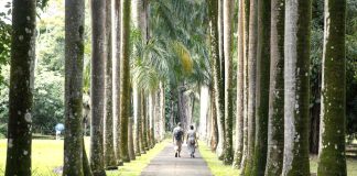 OMT – Le tourisme mondial devrait retrouver son niveau pré-pandémie en 2024