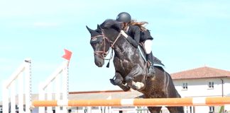 Equitation (saut d’obstacles) – Concours national une et deux étoiles du 22 au 24 février à Oran