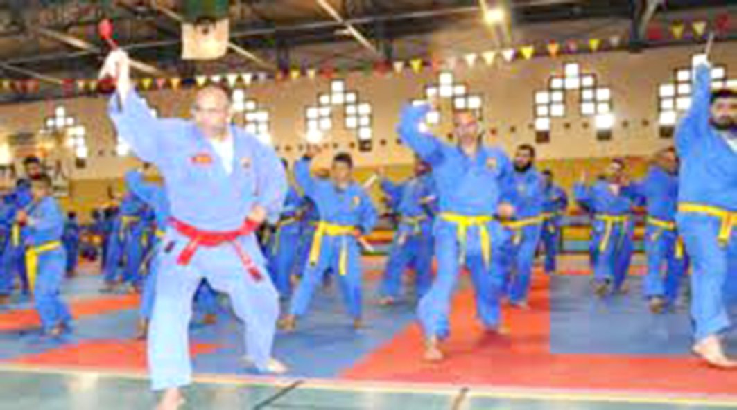14-Sport Vovinam-Vietvodao