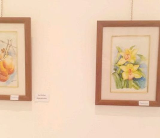 Une exposition collective d’artistes plasticiennes à Alger