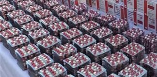 Béchar – Saisie de plus de 6.000 capsules de psychotropes