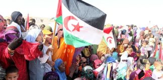 Sahara Occidental – Des organisations espagnoles appellent à l’accélération de la décolonisation