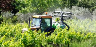 Sécurité alimentaire – Nécessité d’améliorer l’efficacité et la traçabilité des fonds d’aide