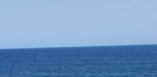 Pêche – Des fermes aquacoles lancées à titre expérimental à Kristel et Arzew