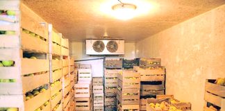 Tébessa – Mise en service d’une chambre froide de stockage des produits agricoles à Chréa