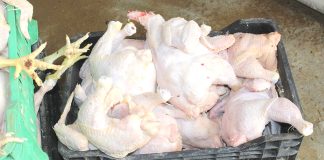 Alger – Saisie de 10 quintaux de viandes blanches avariées à Sidi Moussa