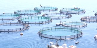 Mostaganem – 10 nouvelles opérations de développement au profit du secteur des Ressources en eau