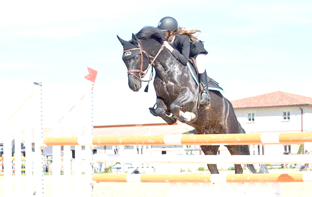 14-Equitation