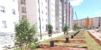 Tlemcen – Un important quota de logements sera distribué le 1er novembre