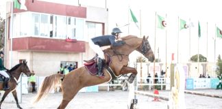 CHALLENGE MONDIAL DE SAUT D’OBSTACLES – Le 3ème et dernier tour qualificatif vendredi prochain à Oran
