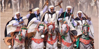 El Bayadh – Plus de 300 participants au Festival régional de fantasia