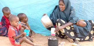 Soudan – L’ONU suspend son aide alimentaire dans un camp frappé par la famine