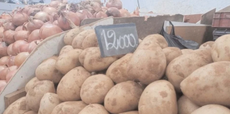Baisse relative des prix des légumes en ce mi-ramadhan: La pomme de terre vendue à 80 et 120 DA le kg au marché de gros d’El Karma
